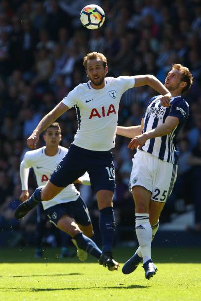 适应能力与 适应能力与